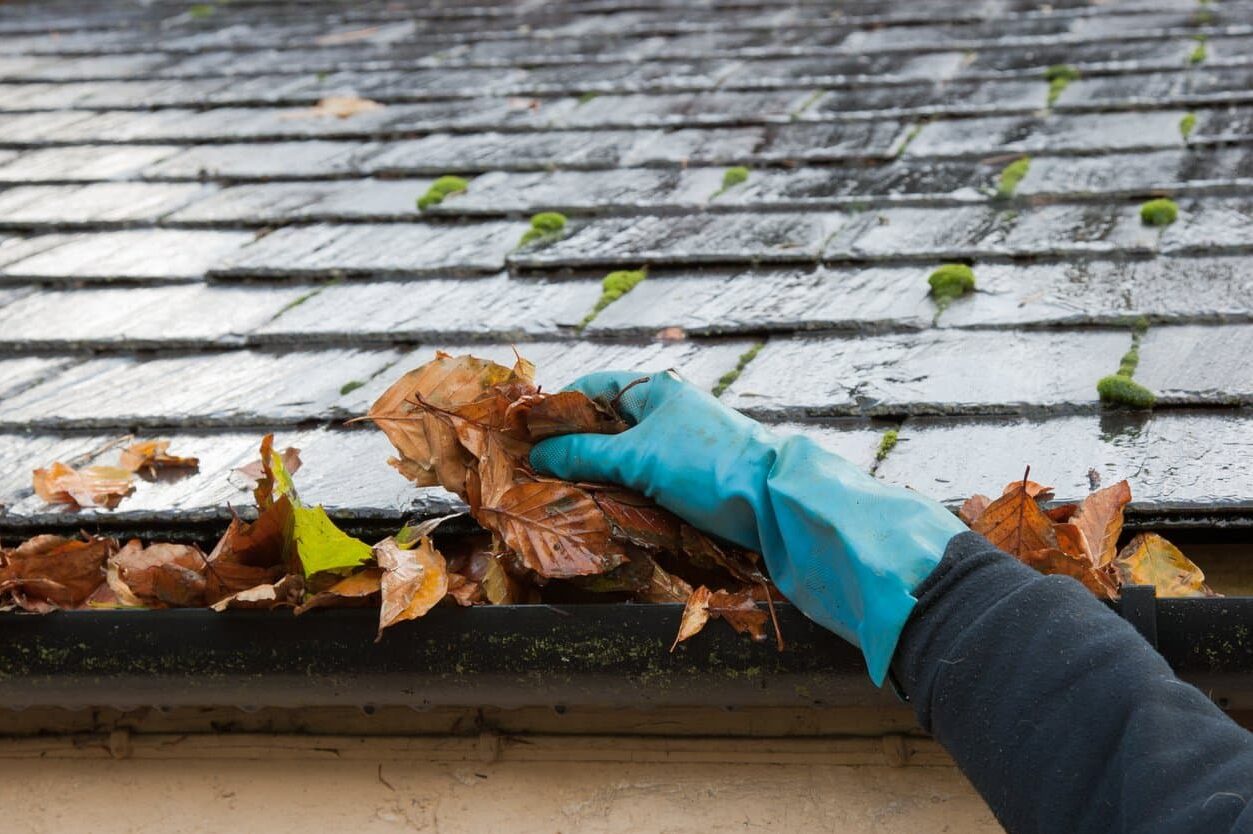 Gutter cleared of leaves and debris along the roof edge